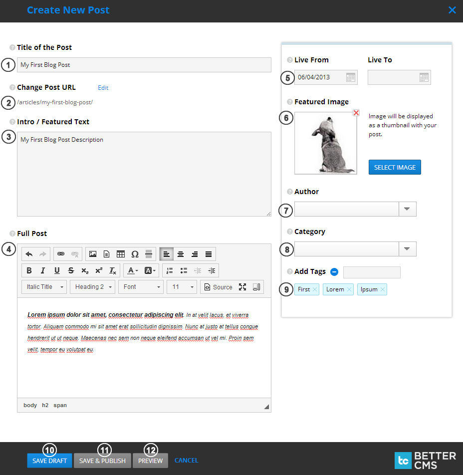 Create blog post